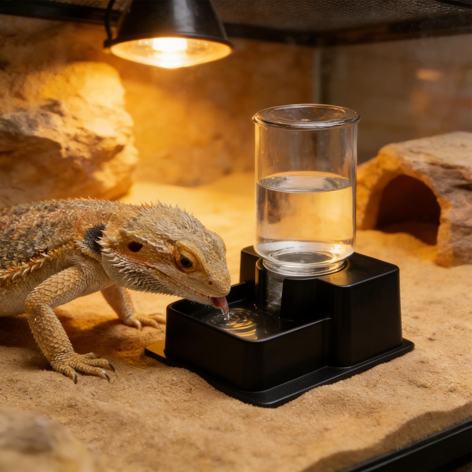 Bearded Dragon Water Fountain  - Water Dish Reptile 리뷰 및 가격