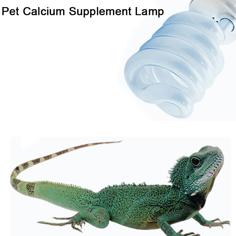 E27 13W/26W Reptile Uvb Lamp   - Calcium Powder Reptile 리뷰 및 가격