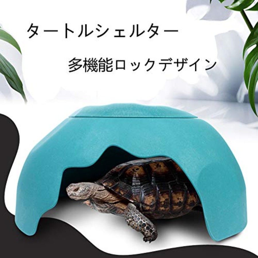 【Spot goods】Reptiles House wit - Hide Cave Ceramic 리뷰 및 가격