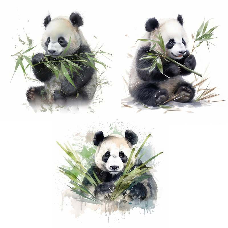 C76# Watercolor panda wall sti - Pvc Panel Background 리뷰 및 가격