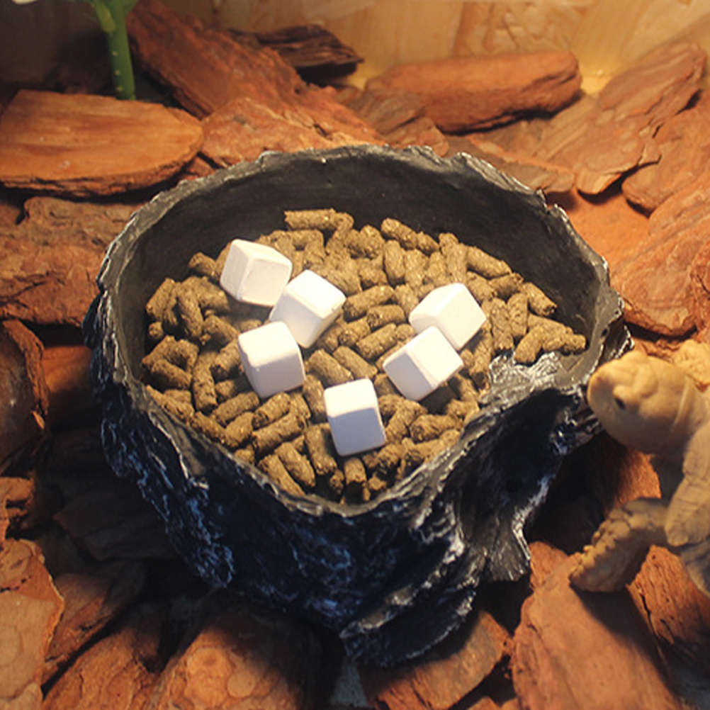 6Pcs Tortoise Tank Calcium Cub - Calcium Powder Reptile 리뷰 및 가격