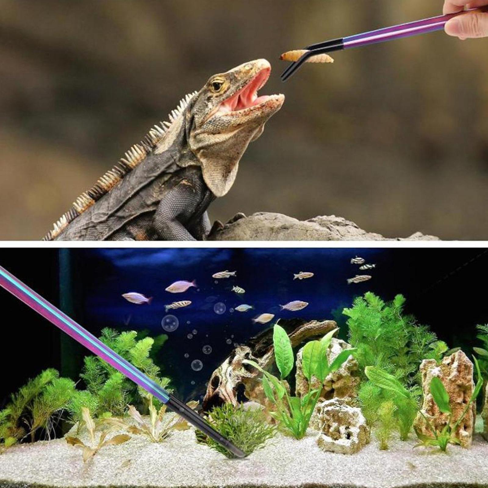 Reptile Feeder Tongs Soft Sili - Feeding Tong Stainless 리뷰 및 가격