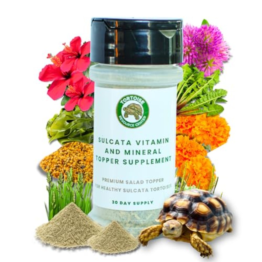 【Spot goods】Sulcata Tortoise C - Calcium Powder Reptile 리뷰 및 가격