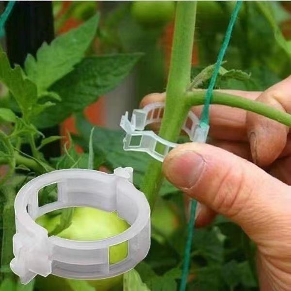 500Pcs Plastic Plant Support C - Vine Climbing Plastic 리뷰 및 가격