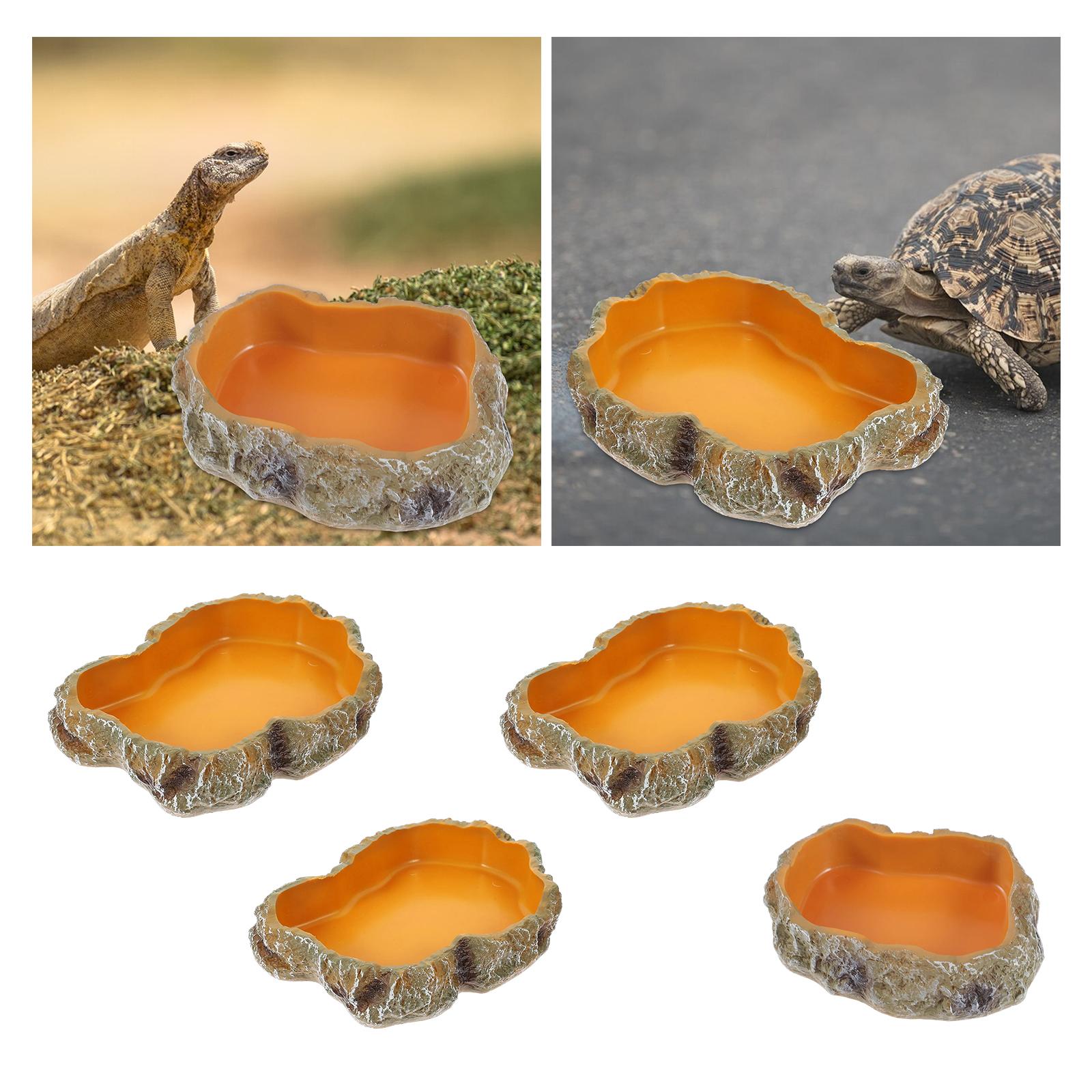 Reptile Water Bowls Decorative - Water Dish Reptile 리뷰 및 가격