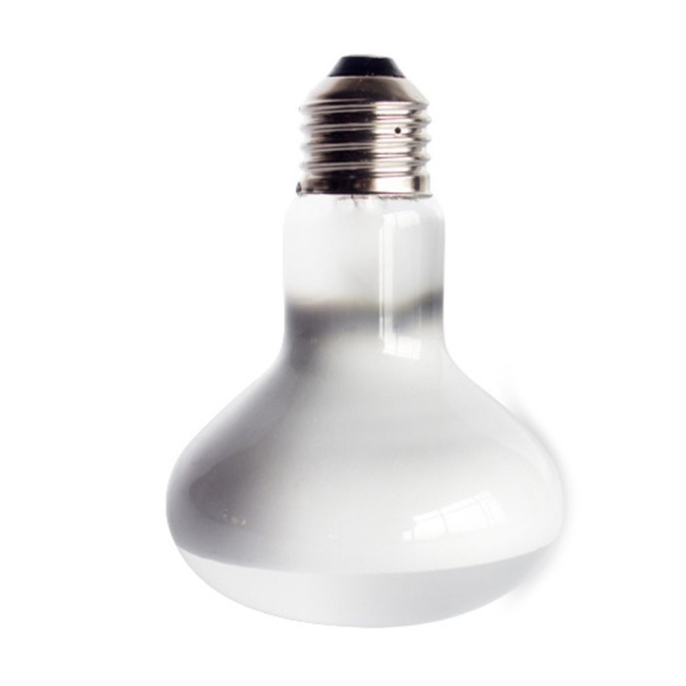 Turtle Temperature Controller  - Basking Bulb Halogen 리뷰 및 가격