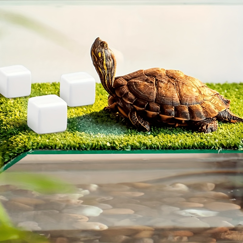 6 Pcs Fish Tank Calcium Block  - Calcium Powder Reptile 리뷰 및 가격