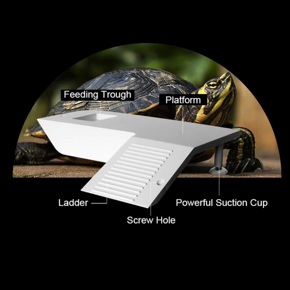 Water Land Slope Box Feeding C - Water Dish Reptile 리뷰 및 가격