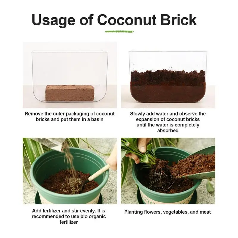 Reptile Coconut Soil Natural C - Substrate Coconut Fiber 리뷰 및 가격