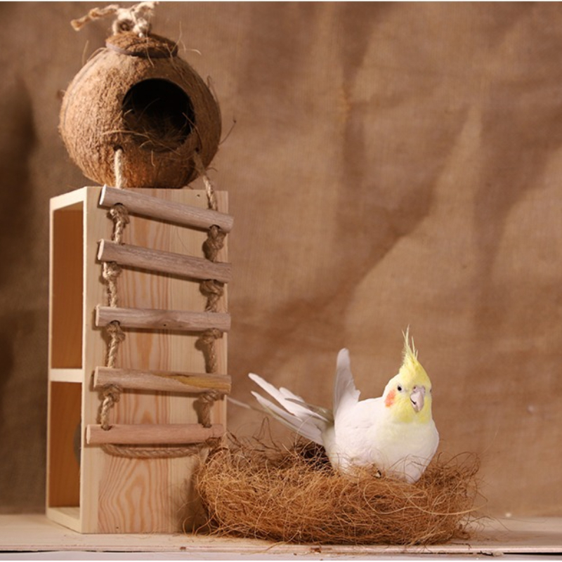 100g Finch Coconut Fiber Loose - Substrate Coconut Fiber 리뷰 및 가격