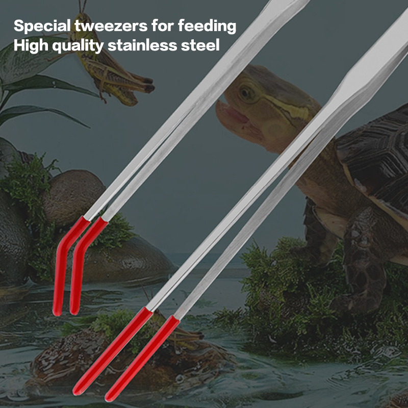 Stainless Steel Reptile Feedin - Feeding Tong Stainless 리뷰 및 가격