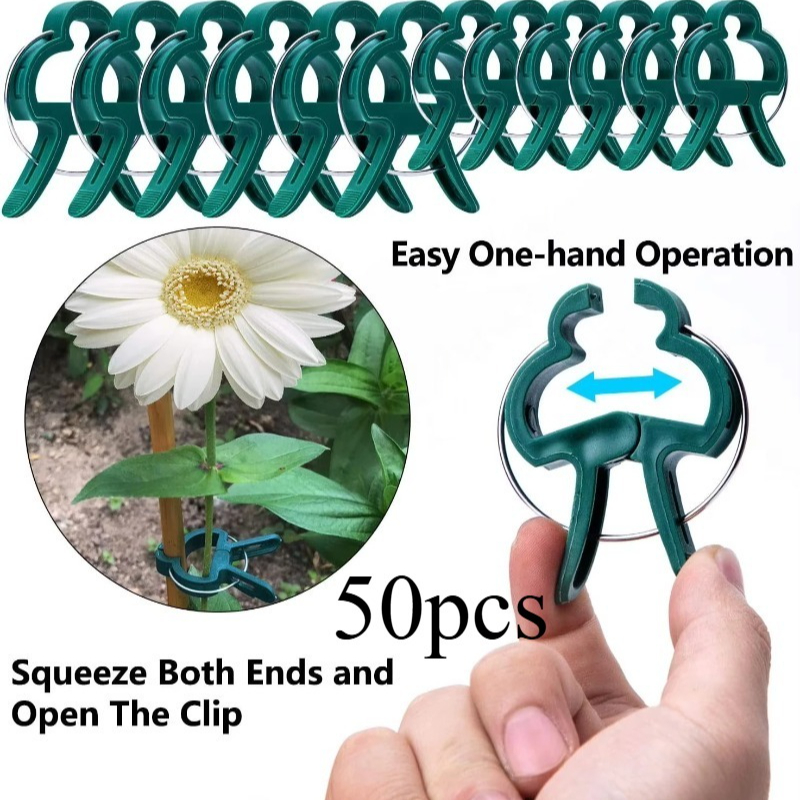 50 Reusable Plant Fixed Clips, - Vine Climbing Plastic 리뷰 및 가격