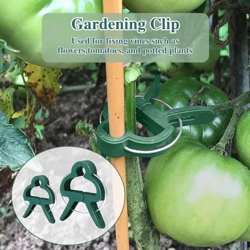 50 Reusable Plant Fixed Clips, - Vine Climbing Plastic 리뷰 및 가격