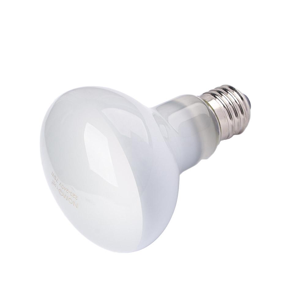 Amphibians Heat Lamp Temperatu - Basking Bulb Halogen 리뷰 및 가격