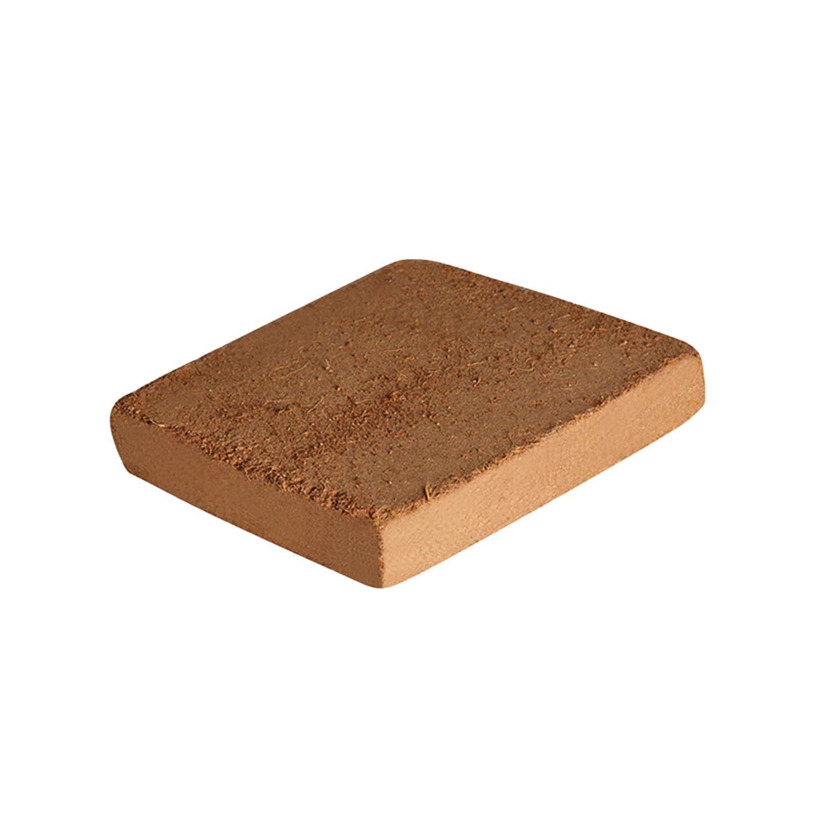 Soil Coconut Fibre Terrarium S - Substrate Coconut Fiber 리뷰 및 가격