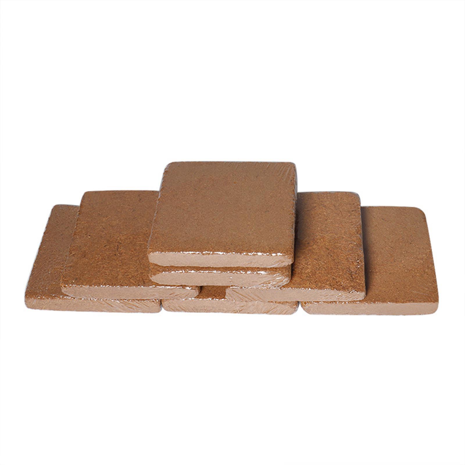 Soil Coconut Fibre Terrarium S - Substrate Coconut Fiber 리뷰 및 가격