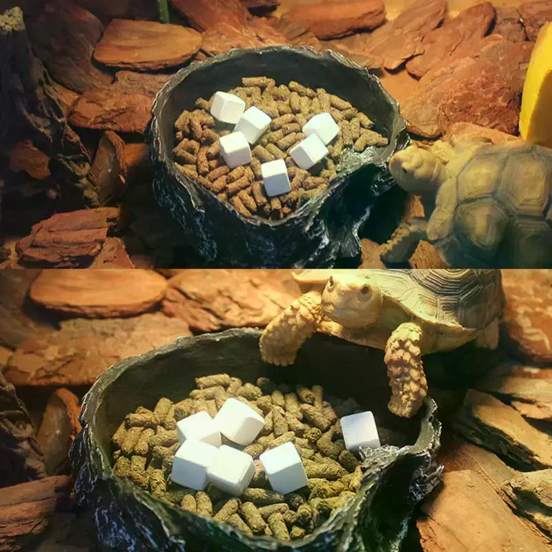 Slow Release Calcium Mineral B - Calcium Powder Reptile 리뷰 및 가격