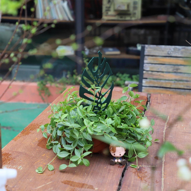 Plant Climbing Support Stand F - Vine Climbing Plastic 리뷰 및 가격