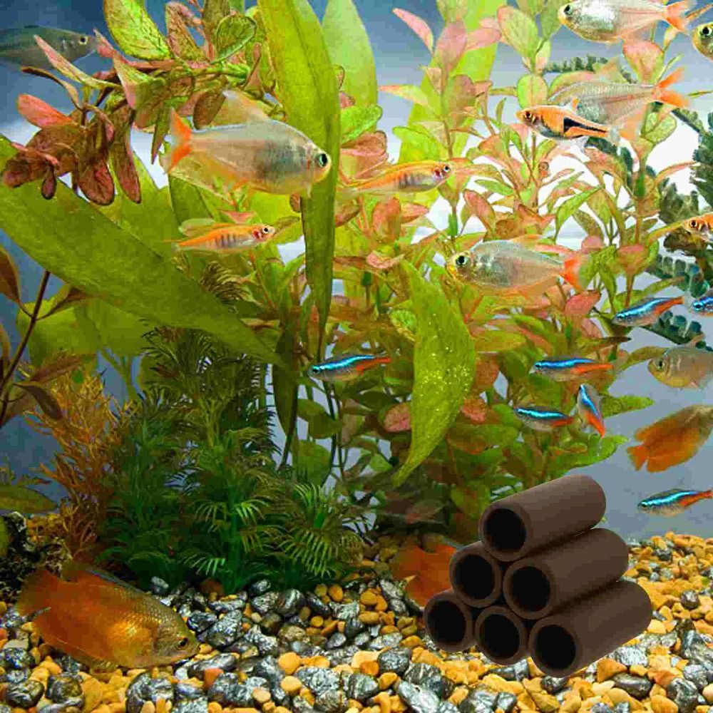 Playing Breeding Spawning Aqua - Hide Cave Ceramic 리뷰 및 가격