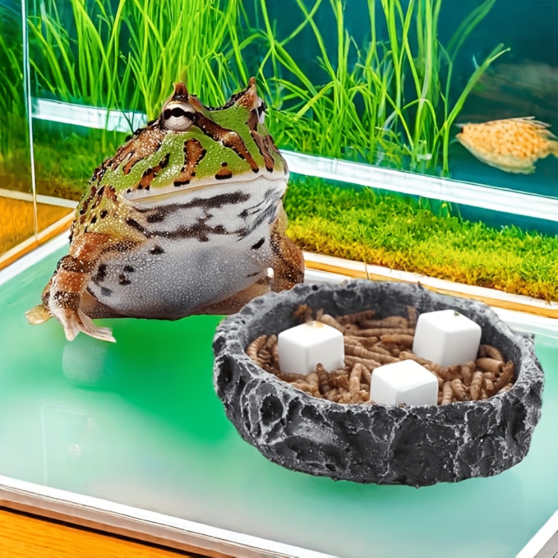6 Pcs Fish Tank Calcium Block  - Calcium Powder Reptile 리뷰 및 가격