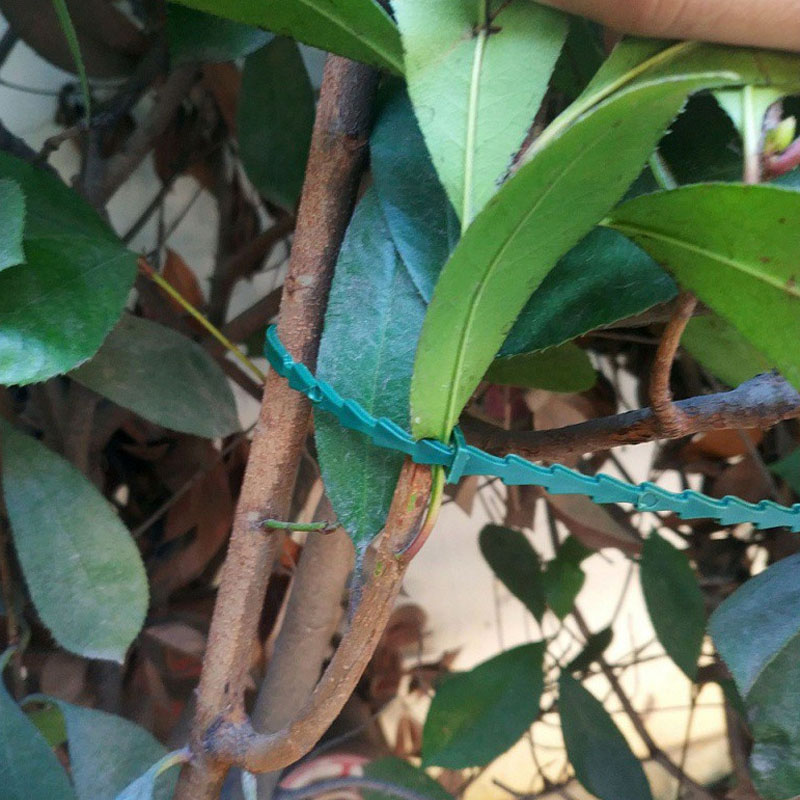 13cm Adjustable Plastic Plant  - Vine Climbing Plastic 리뷰 및 가격
