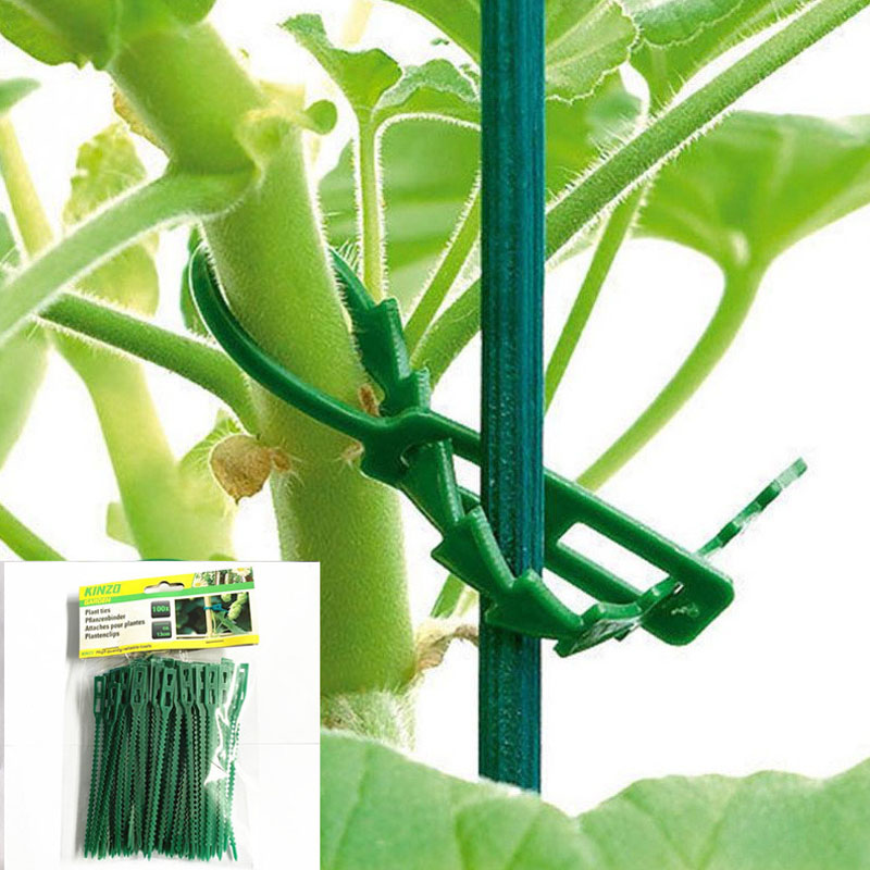 13cm Adjustable Plastic Plant  - Vine Climbing Plastic 리뷰 및 가격