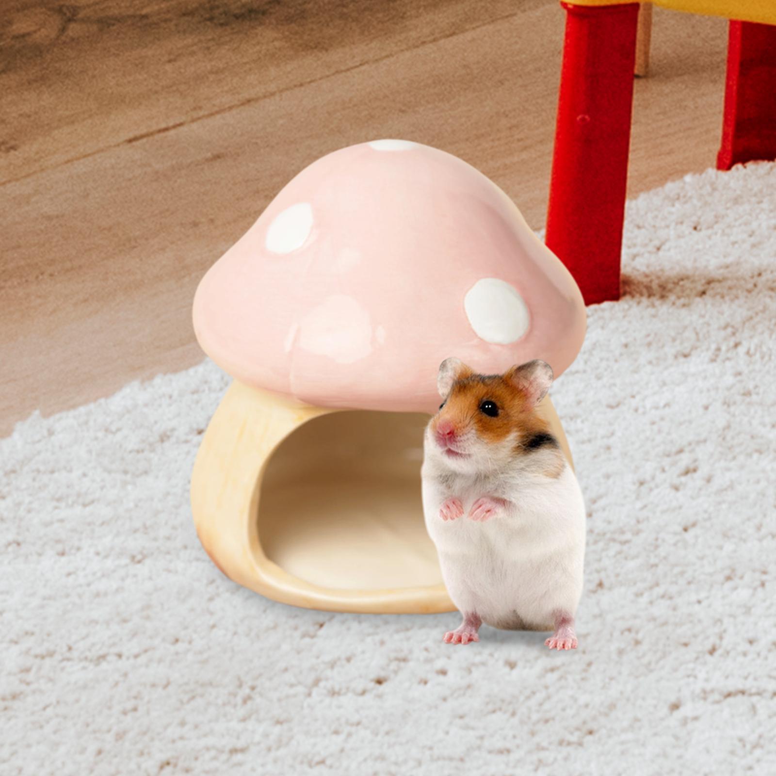 Ceramic Mushroom Hamster Hideo - Hide Cave Ceramic 리뷰 및 가격