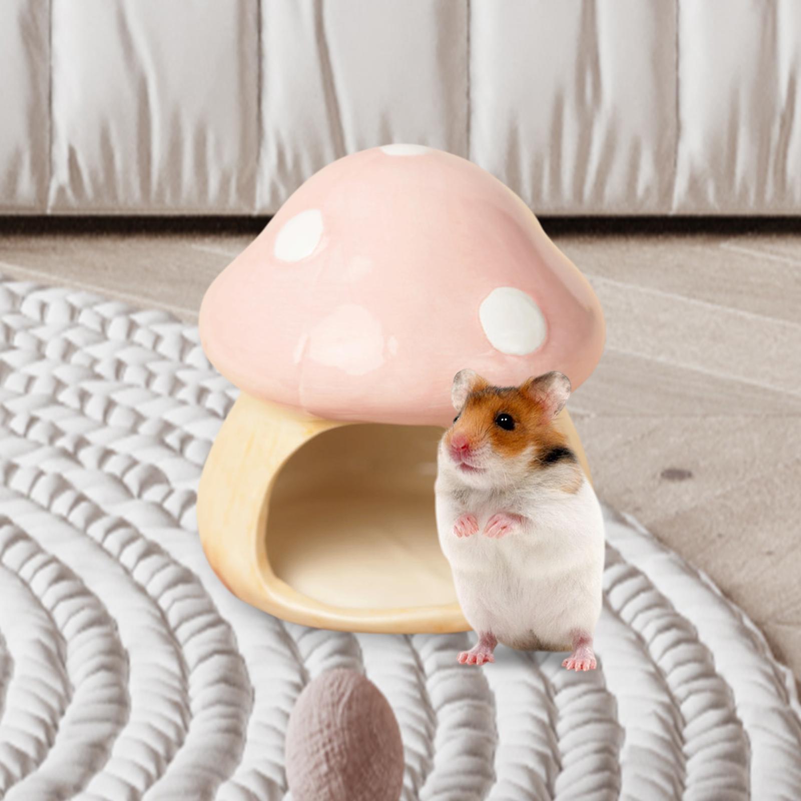 Ceramic Mushroom Hamster Hideo - Hide Cave Ceramic 리뷰 및 가격