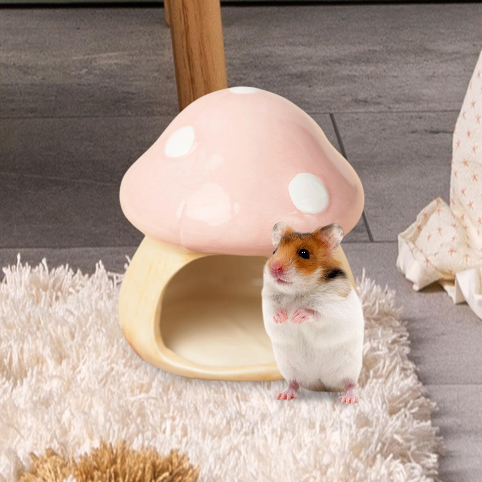 Ceramic Mushroom Hamster Hideo - Hide Cave Ceramic 리뷰 및 가격