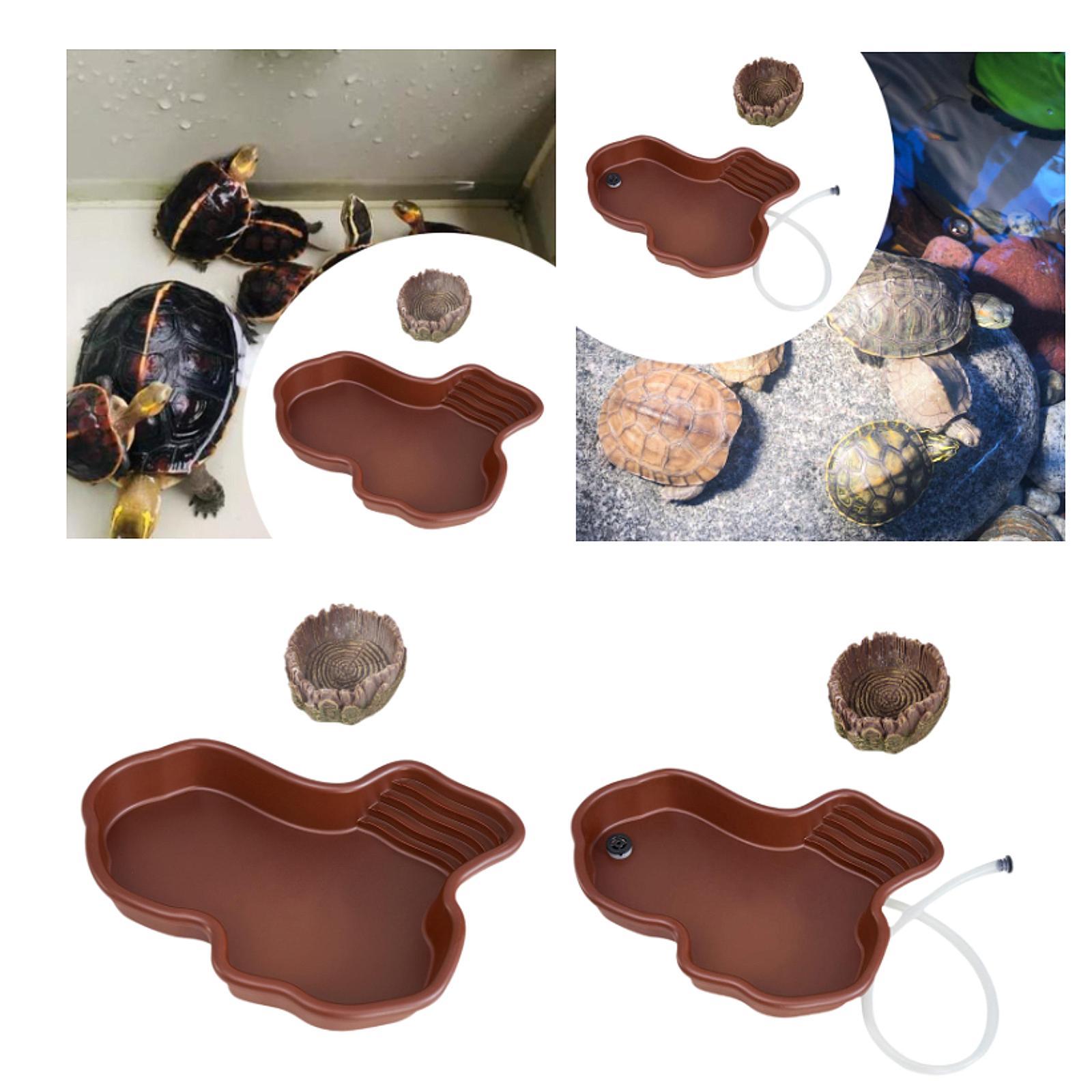 Reptile Feeding Dish Reptile B - Water Dish Reptile 리뷰 및 가격