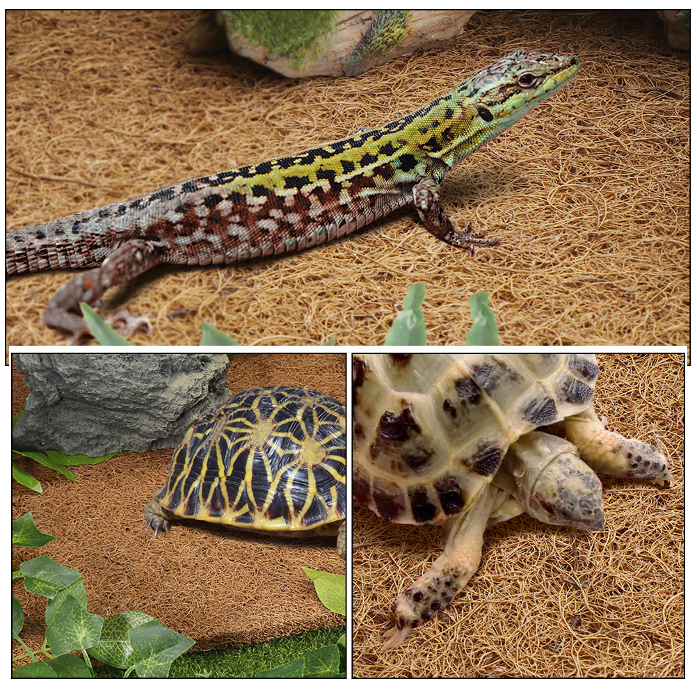 Reptile Terrarium Carpet Natur - Substrate Coconut Fiber 리뷰 및 가격
